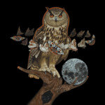 Kane Kokaris, Noctua, acrylic on wood panel, 12 x 12 inches, $500
