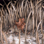 Adam Oehlers,“The Saddled Water Rat”, watercolor, pen and pencil. 12.8 x 12.5 inches, $840