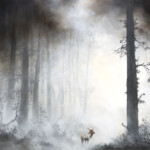 Brian Mashburn, "Old Growth", oil on canvas, 24 x 30 in, $4,200