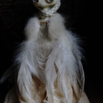 Mahlimae, "Echo I - Isis", stone clay, rutilated quartz, suri alpaca, feathers, Australian merino wool, rabbit fur (naturally shed from artist's own), hand dyed textiles, 7.5 inches, $610