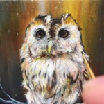 Victoria Steel, "Hoot”, oil on masonite, 3 x 3 inches, 4 x 4 inches, $300