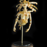 Nikole Cooney, “Liona” Bronze, granite, wood, 18 x 12 x 8 inches, $6,000 (Front View)
