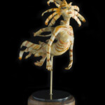 Nikole Cooney, “Liona” Bronze, granite, wood, 18 x 12 x 8 inches, $6,000 (Side View)