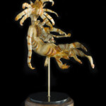 Nikole Cooney, “Liona” Bronze, granite, wood, 18 x 12 x 8 inches, $6,000 (Back View)