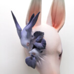 Erika Sanada, "Dreamlike”, Ceramic, cold finish, 6 x 6.5 x 11 inches, $1800 (Right View)