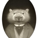 Travis Louie, "Marvin the Wombat”, acrylic on board, 5 x 7 inches, $2200