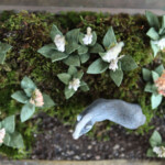 Meadow & Fawn, "Dusk in the Foxglove Meadow", mixed media shadowbox: hand sculpted polymer clay sculptures painted with acrylic paint, 3.5 x 3 x 2.75 inches, $400
(Detail)