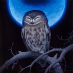 Allen Douglas, "Silent Night", oil on cradled panel, 12 x 12 inches, 15.5 x 15.5 inches framed, $650
