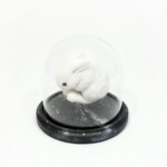 Zoë Williams, "モチ (Mochi)", wool felt, seed beads, mixed media, 4 x 4 x 2 inches, 6.75 x 6.75 x 6 inches framed, $500