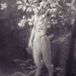 Pandora Young, "Fawn", graphite on watercolor paper, 24 x 18 inches, $2,800