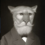 Travis Louie, “Big Cat Williams” acrylic on panel, 14 x 11 inches, $5500