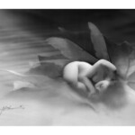 Jeff Echevarria, “Adrift In The Morning Mist”, Epson Somerset Velvet Stock, Graphite & Charcoal Powder, Panpastels, Acetone & Gouache, 12 x 16 inches, $1,000