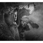 Jeff Echevarria, “Cloak Of Protection”, Epson Somerset Velvet Stock, Graphite & Charcoal Powder, Panpastels, Acetone & Gouache, 18 x 24 inches, $2,000