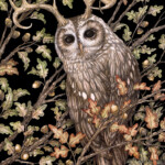 Adam Oehlers, “Watcher in the Oak”, Watercolour, Pen and Pencil on 250gsm paper, 13.58 x 9.13 inches, $1,250